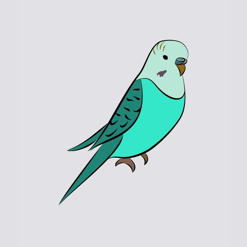 perruche Turquoise