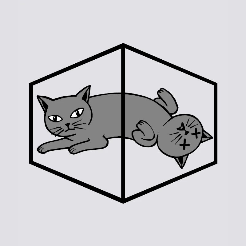 Le chat de Schrödinger
