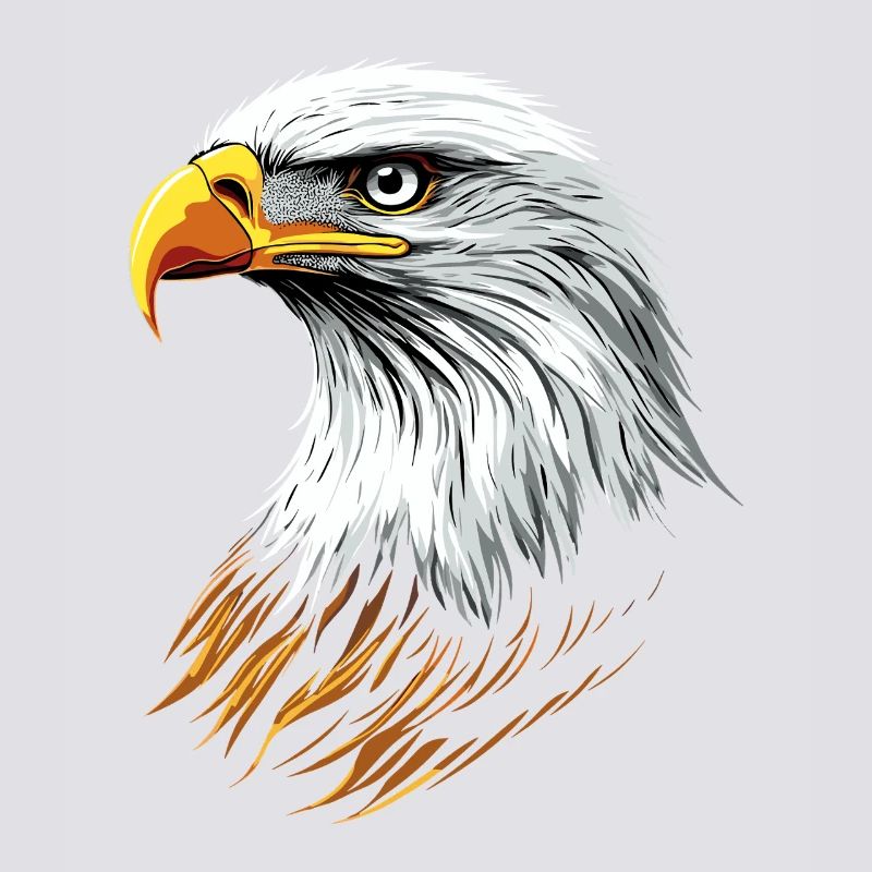 Eagle Bald Eagle Golden Eagle White-tailed Eagle