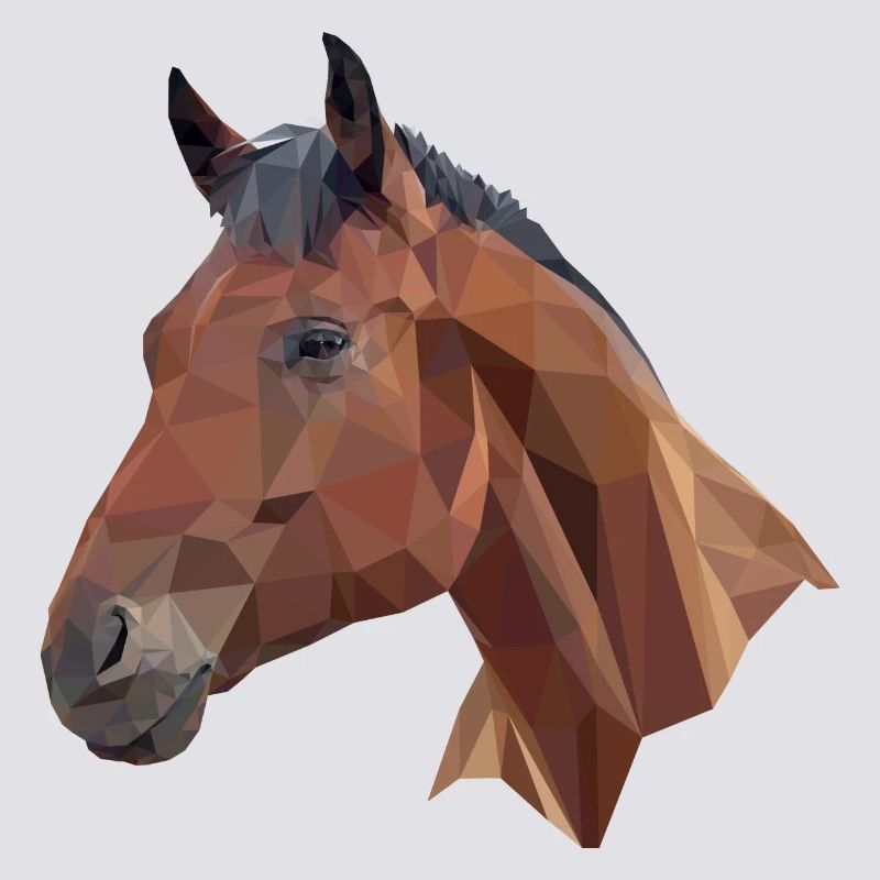 Cheval poly