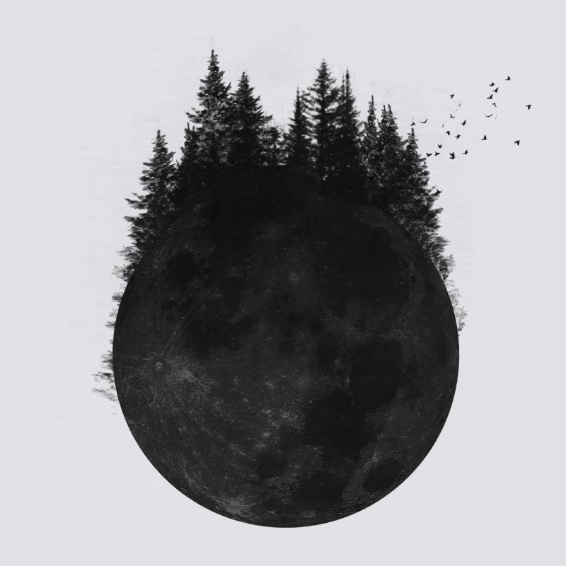 Forest moon