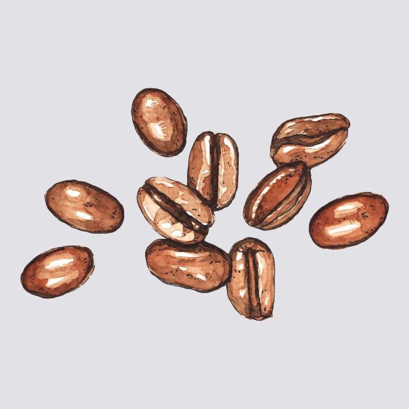café en grains