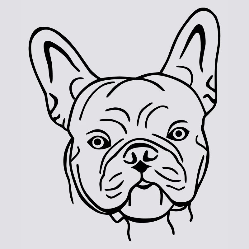 bully 1