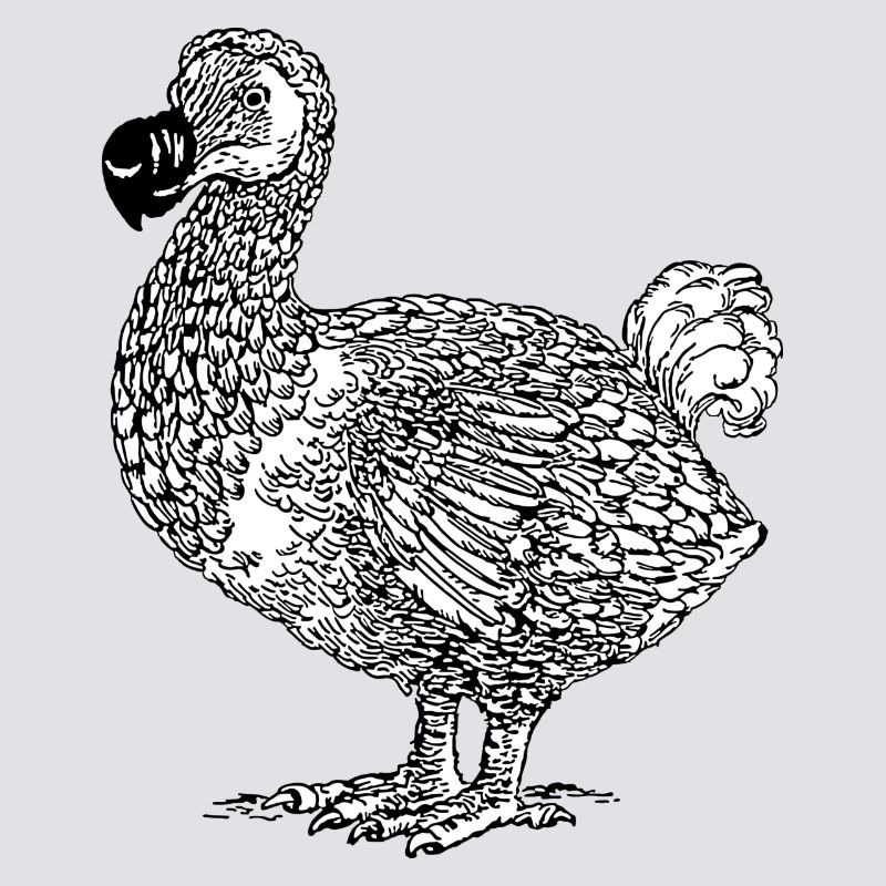 DODO Vogel