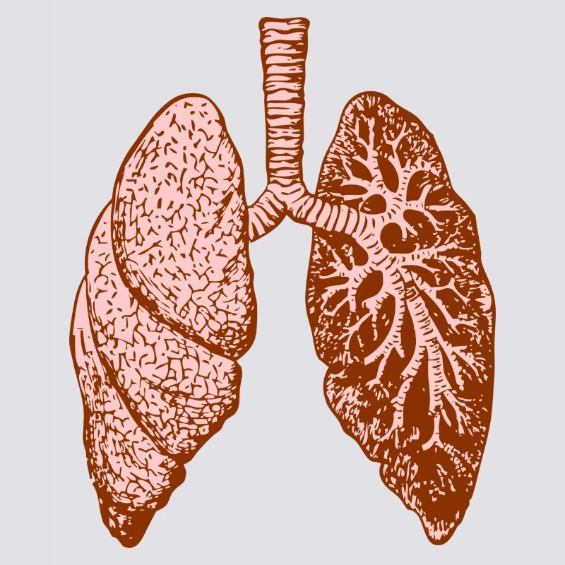 Lung: O