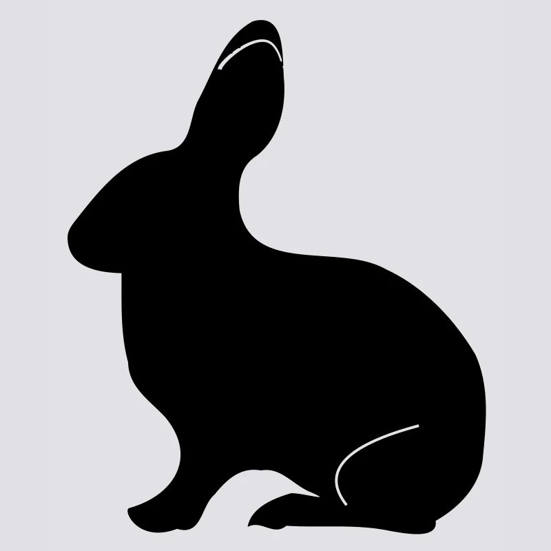 Hase
