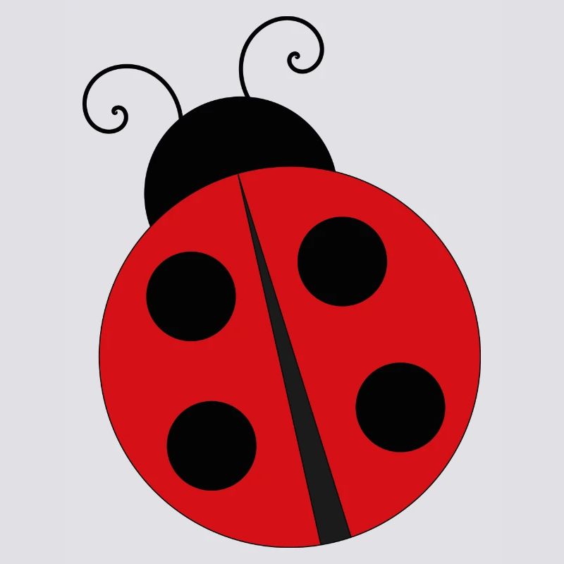 Coccinelle Ladybug