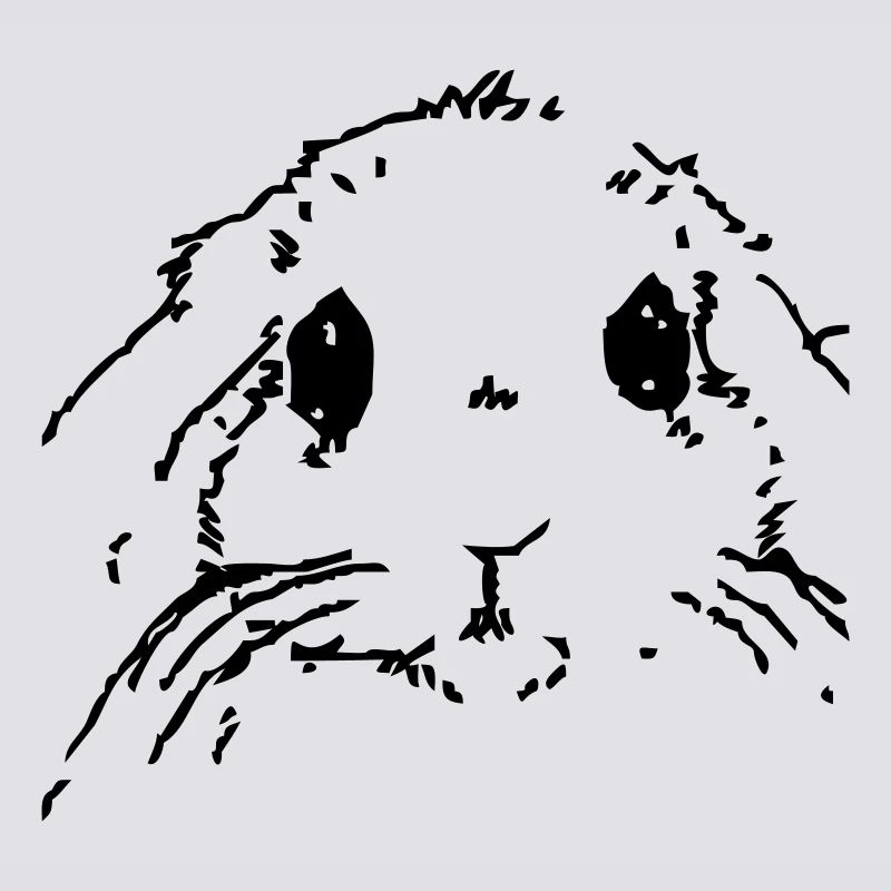 Hase