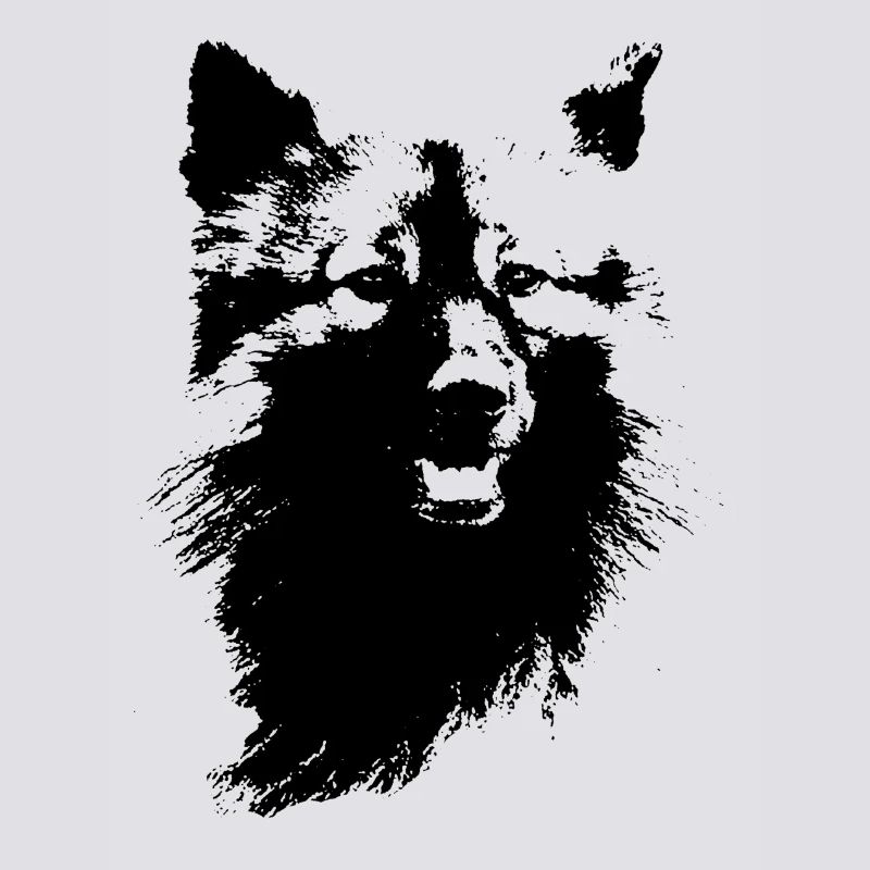 Wolfsspitz head