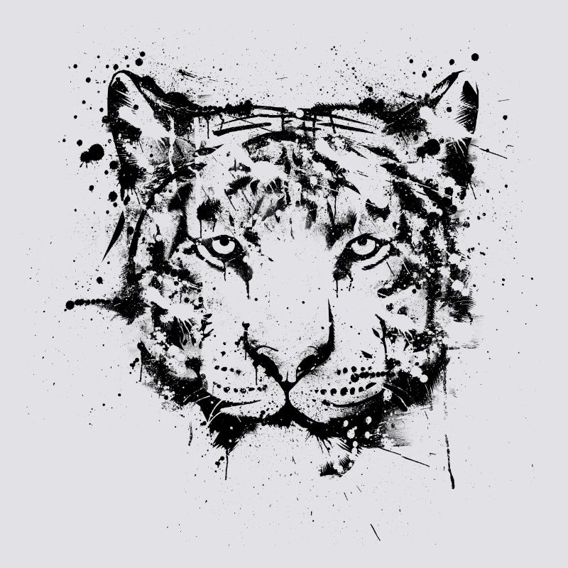 Tiger Graffiti