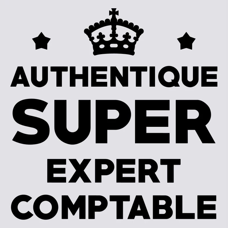 Expert Comptable / Comptabilité / Comptable /