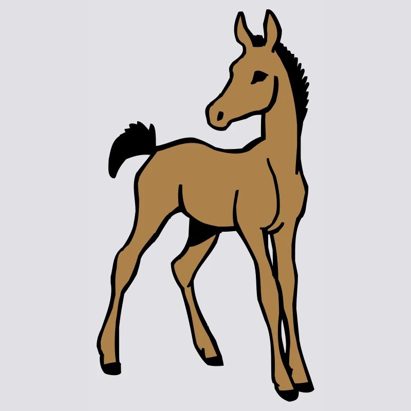 Fohlen