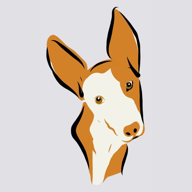 Podi