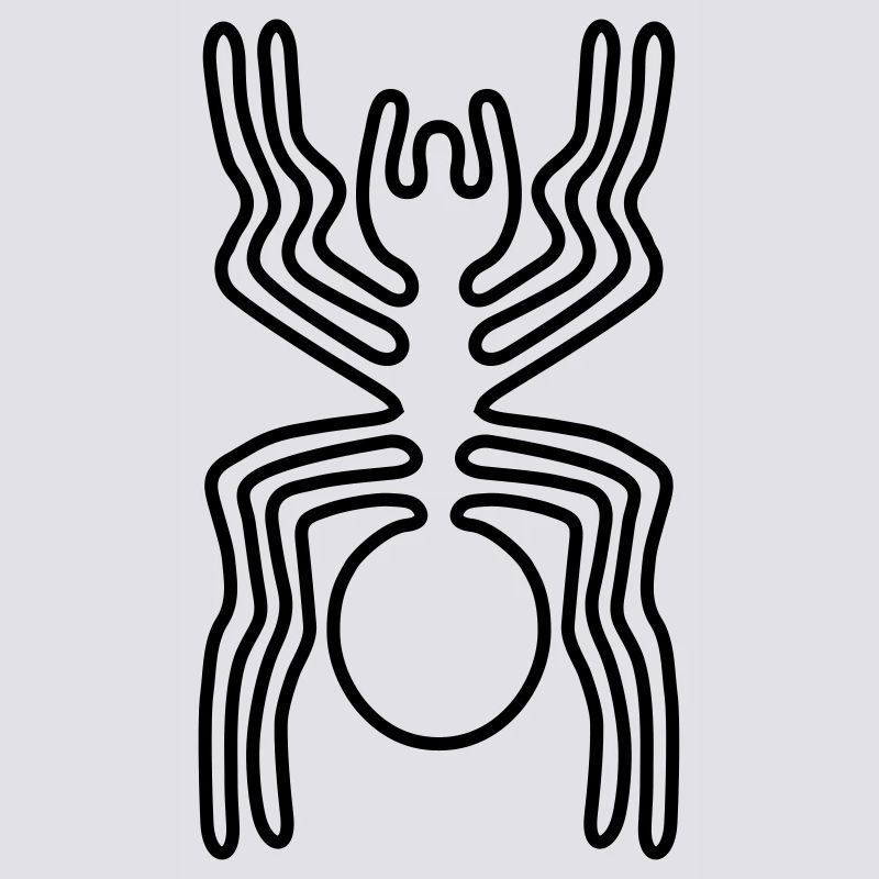 Araignée Nazca