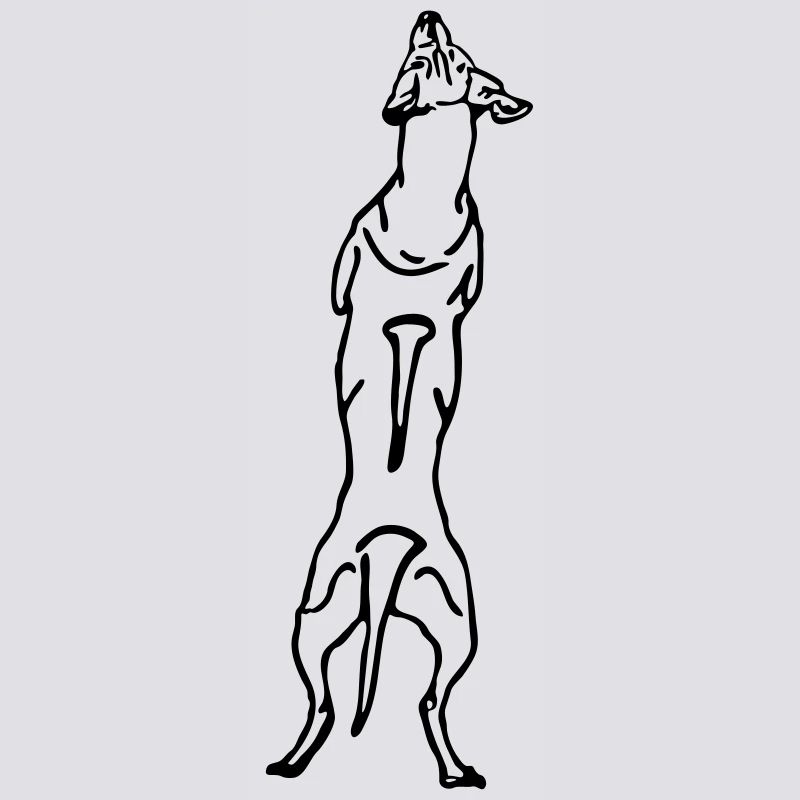 Ridgeback back