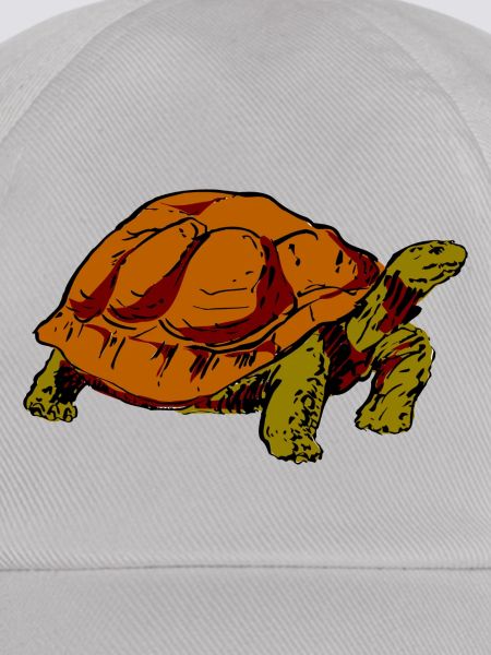 Schildkröte