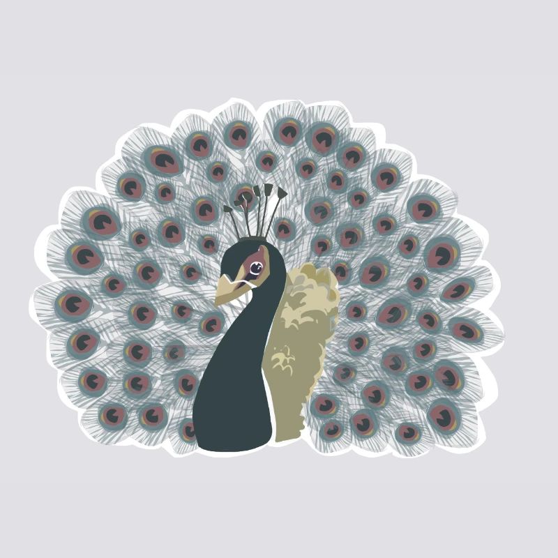 Paon avec roue