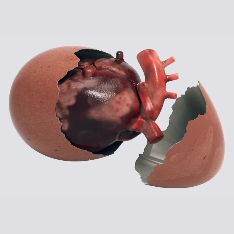 Cœur dans l’œuf