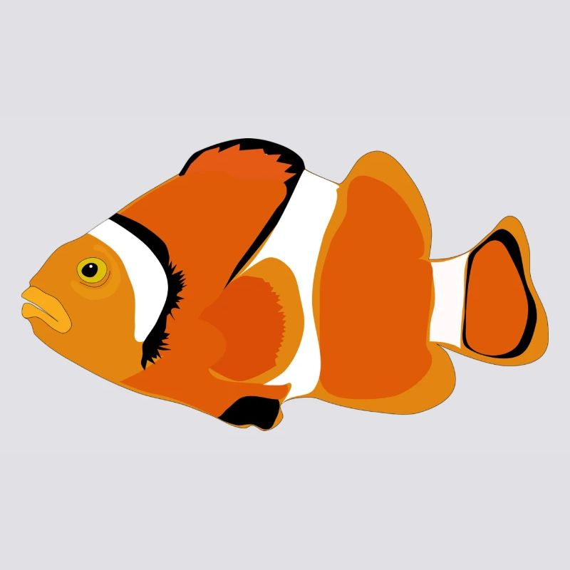 Clownfisch