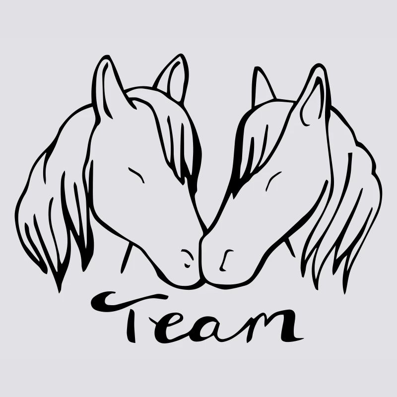 Team Pferd