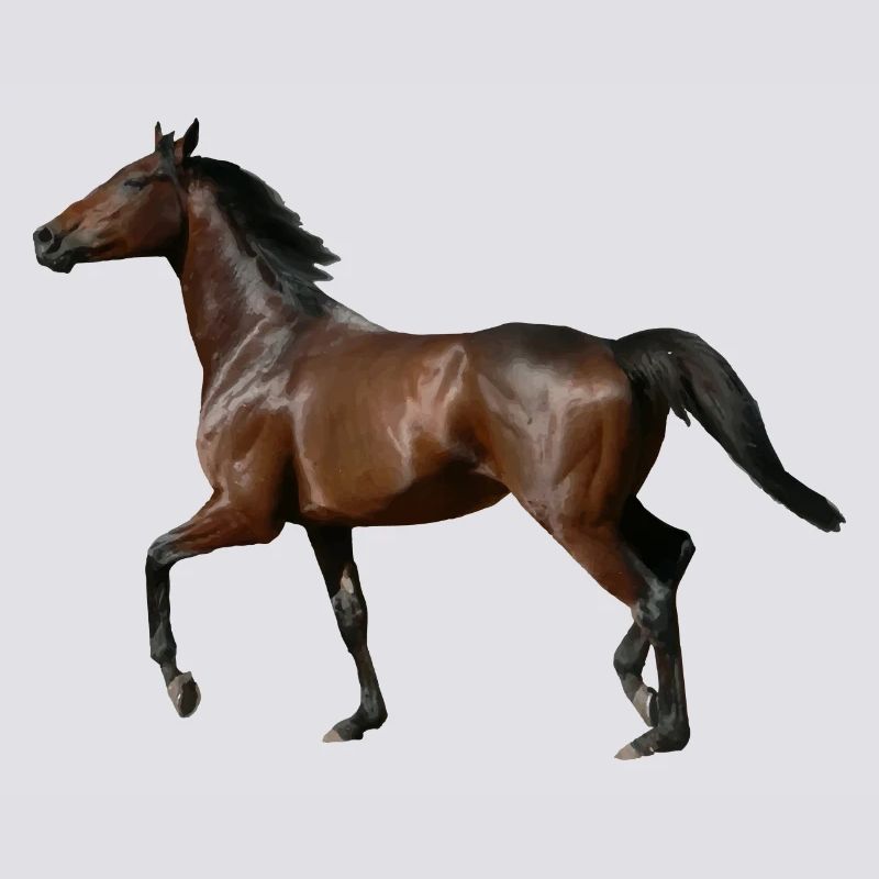 Pferd