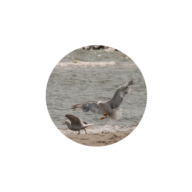 Zwischen Himmel und Meer