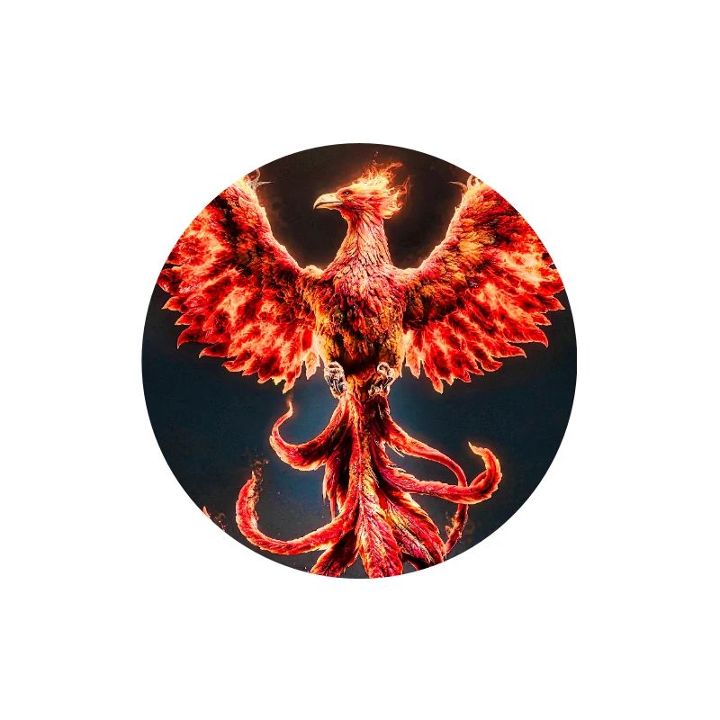 Explosion de Phoenix Firecrest