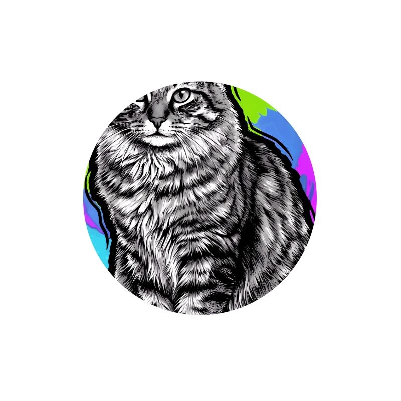 chat