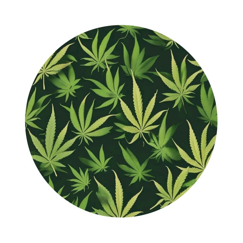 cannabis