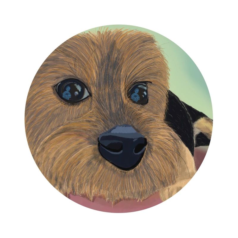 Hundeaugen oder Liebesreflex