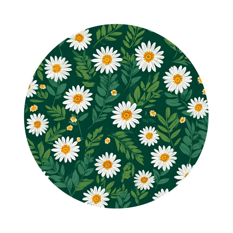 Gänseblümchen Blumen