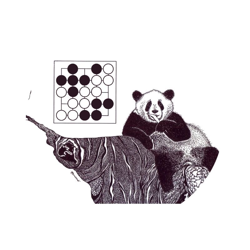 Panda 5x5 Seki