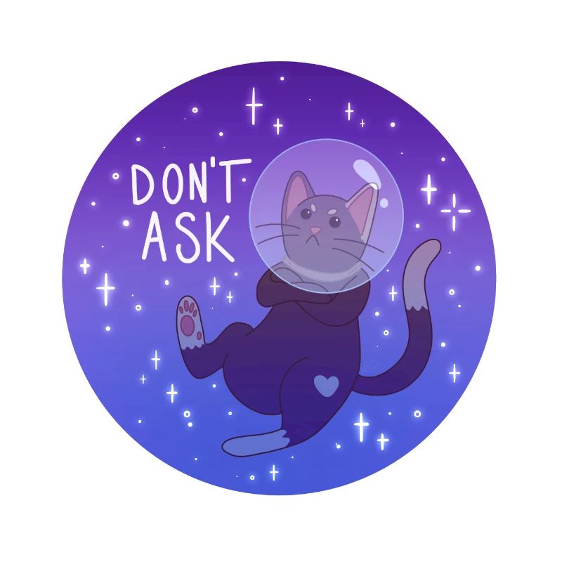 Kitty dans l’espace