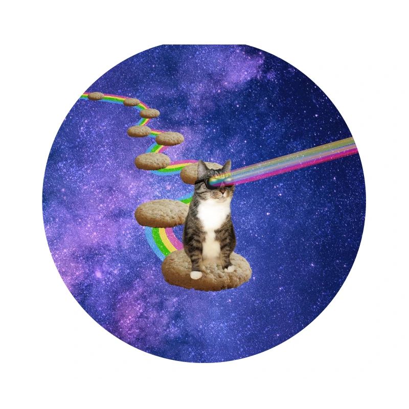 Cute tabby cat in outer space