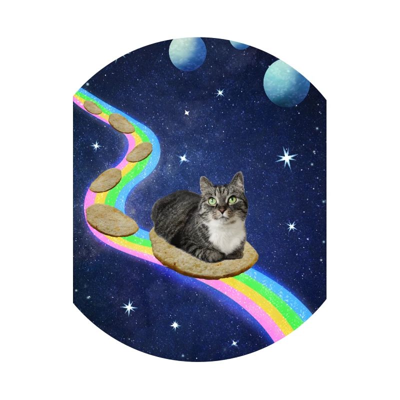 Chat mignon dans l’espace