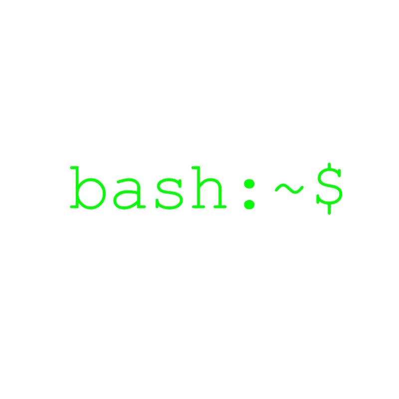 Console shell bash Linux
