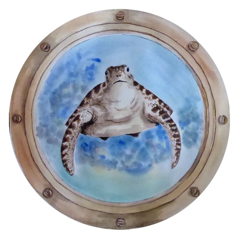 porthole turtle