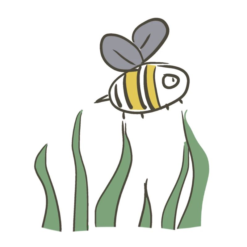 ambiente delle api