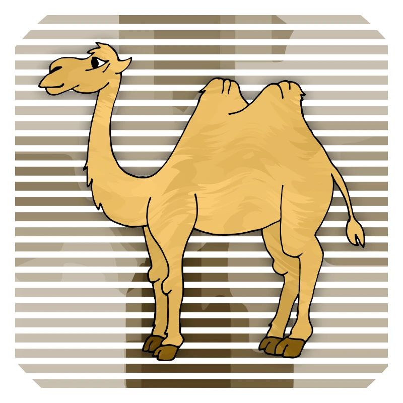 Kamel