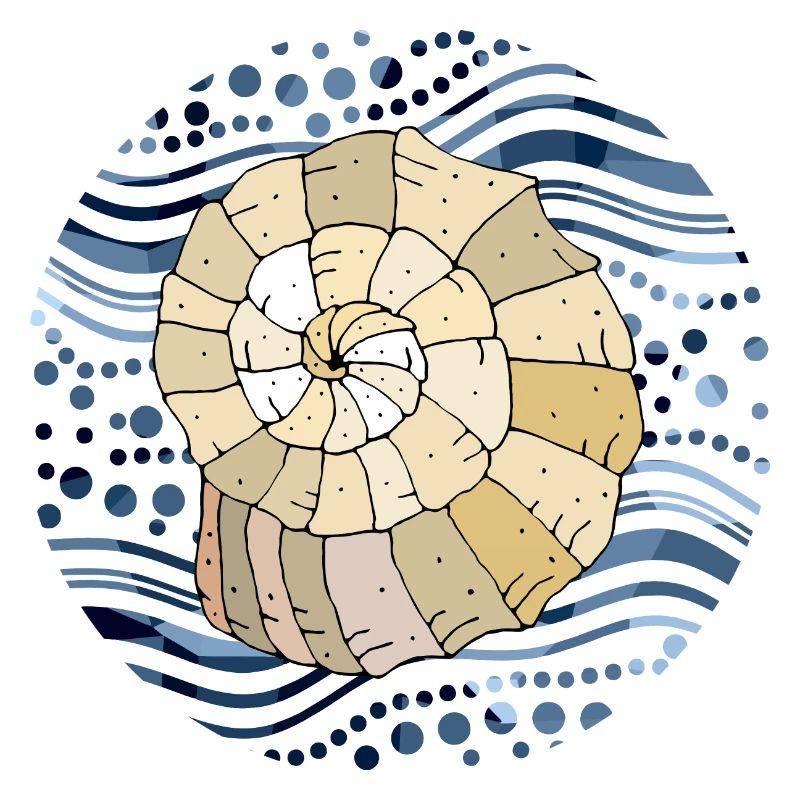 Shell