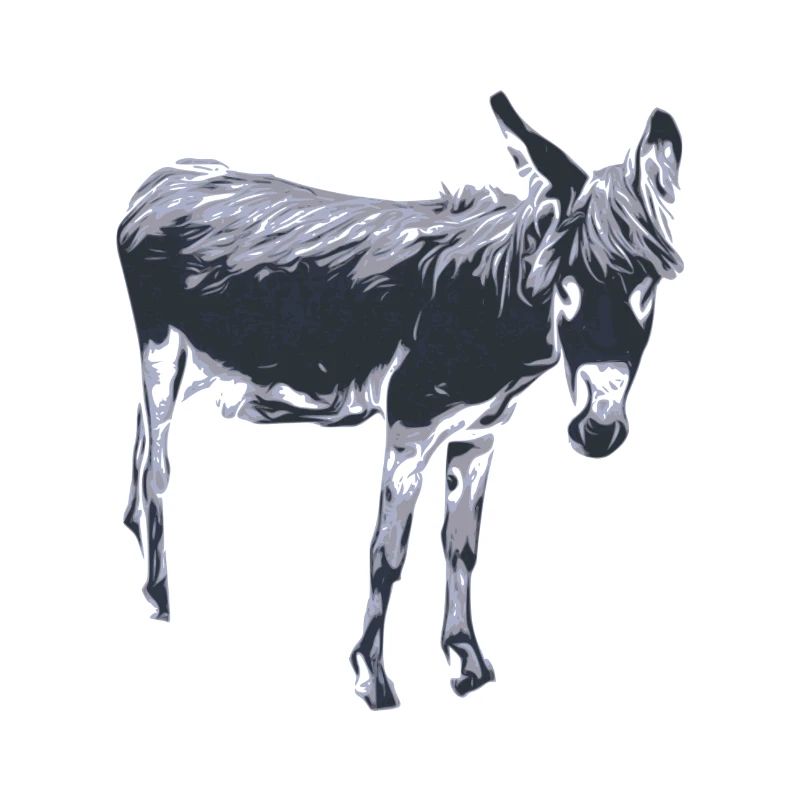 Donkey