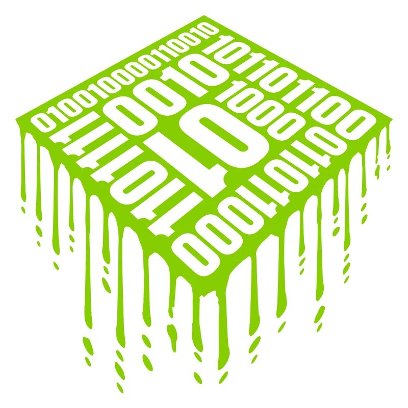 Langage de programme de code binaire