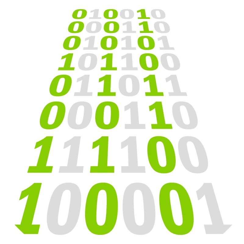 Langage de programme de code binaire