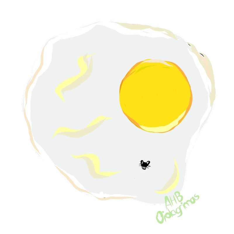 FRIED EGG v fly