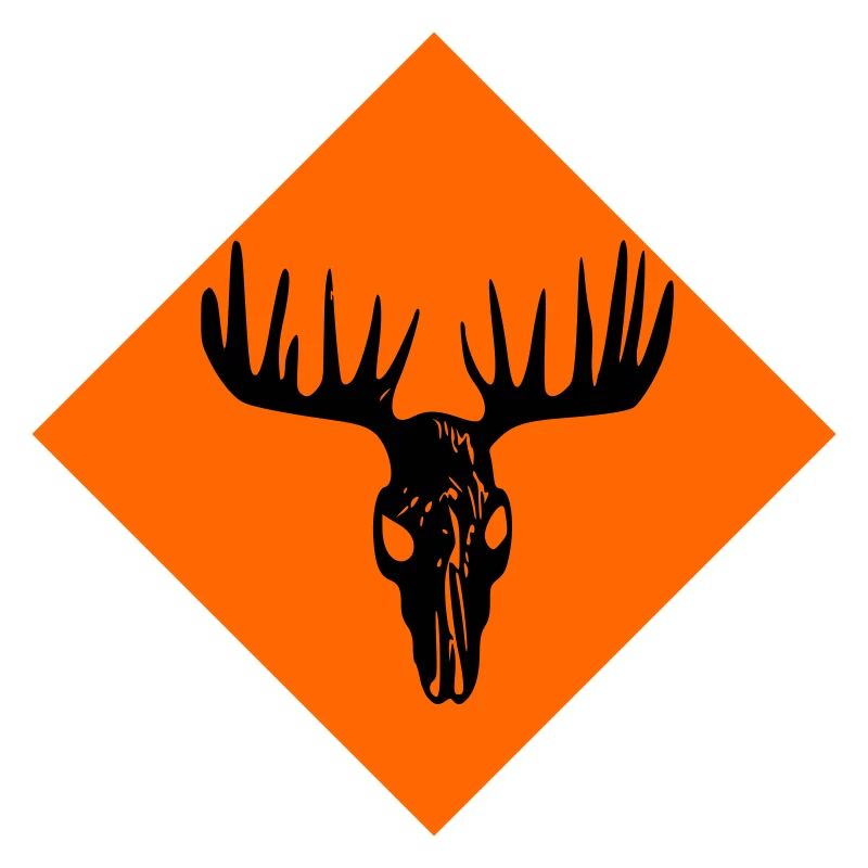 Moose Skull