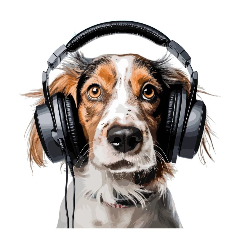 Il suffit d’écouter !