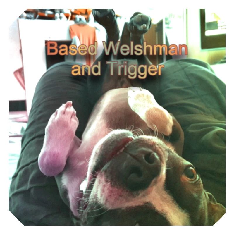 Trigger upside down text