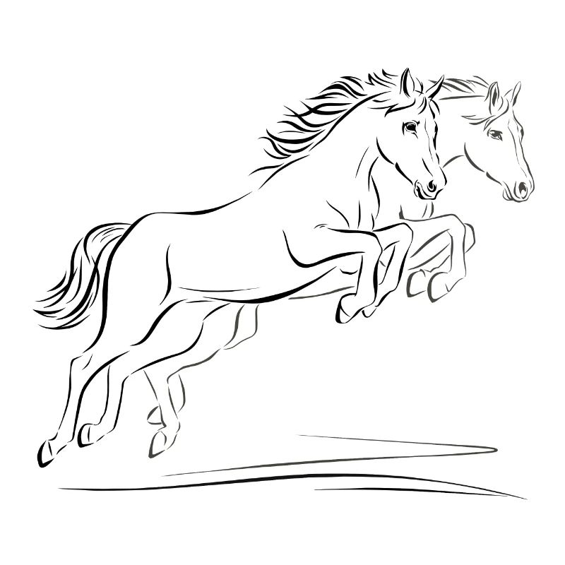 Two horses