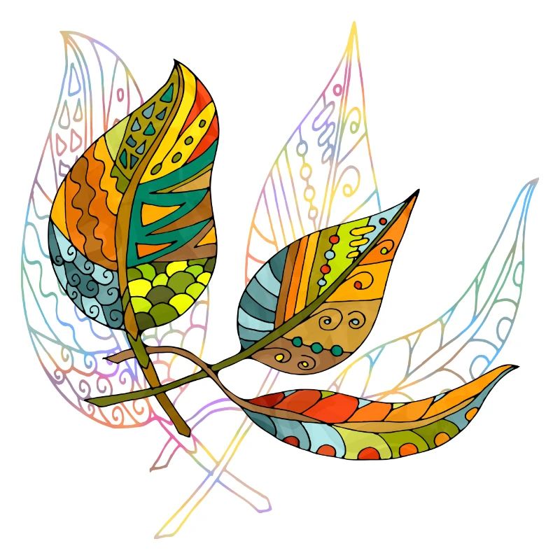 feuilles