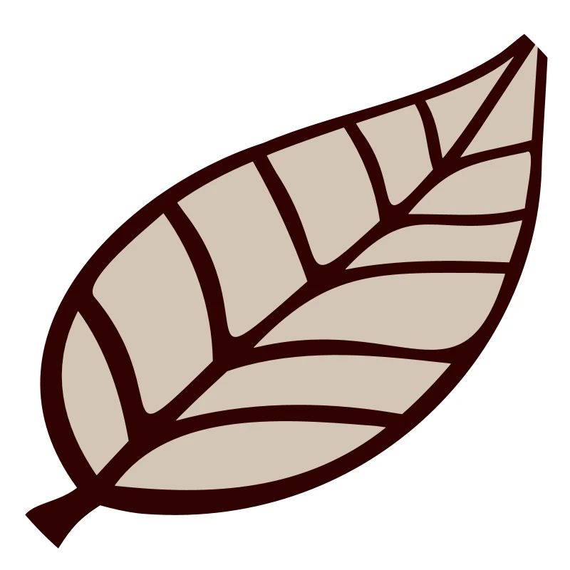 Small Pretty Leaf Brown Eco Tree Leaves